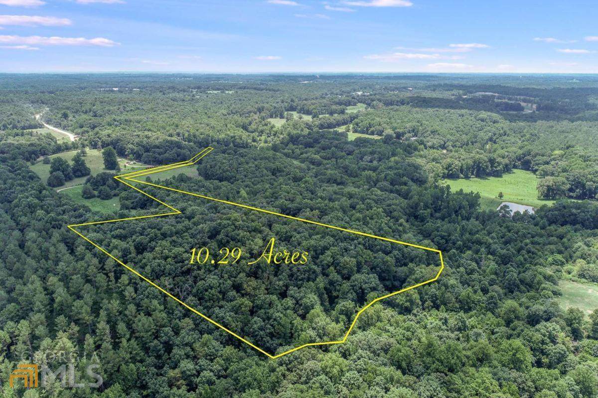 0 Hickory Hills Road - Photo 1