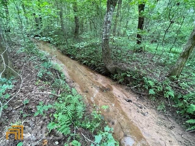 0 Porter Road - Photo 1