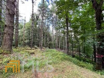 LOT 7 Grice Woods Road - Photo 1