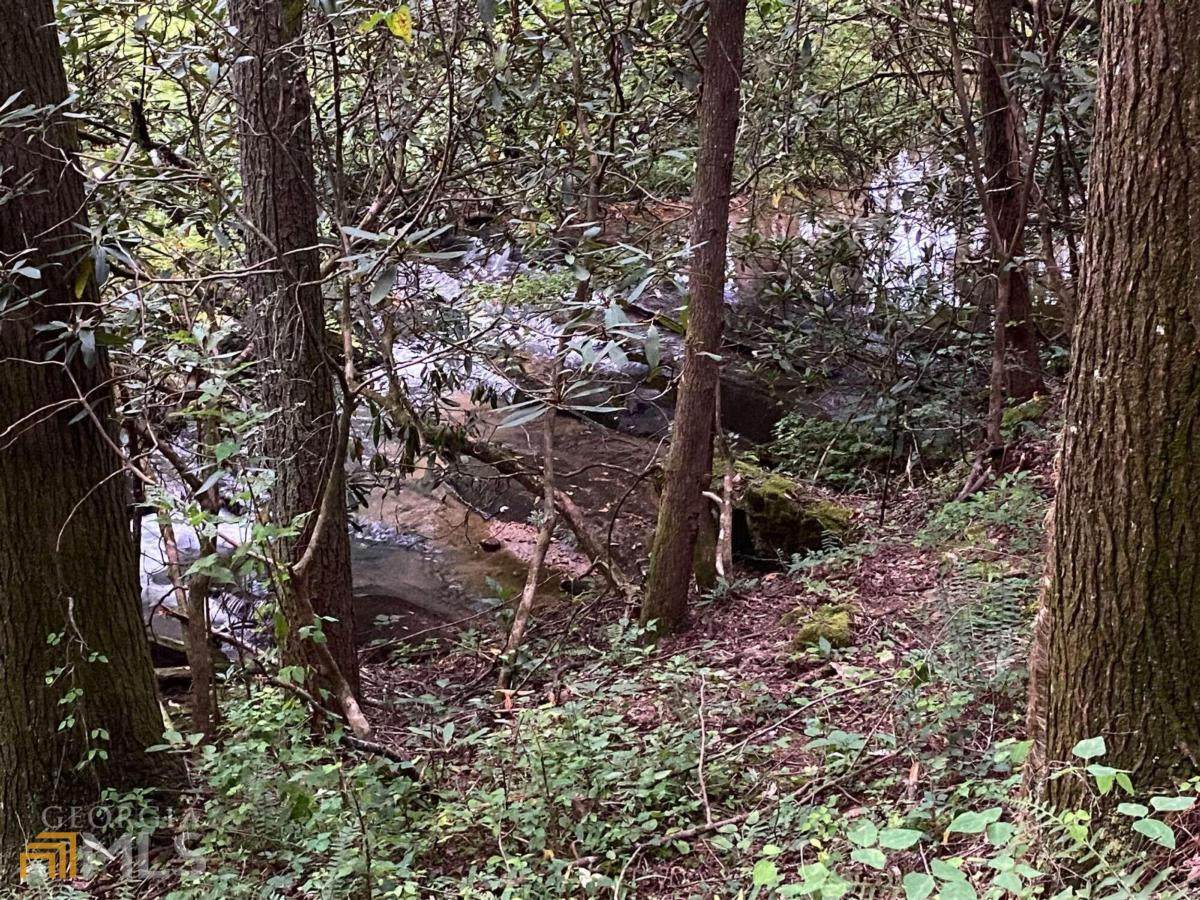 0 Harpers Creek Road - Photo 1