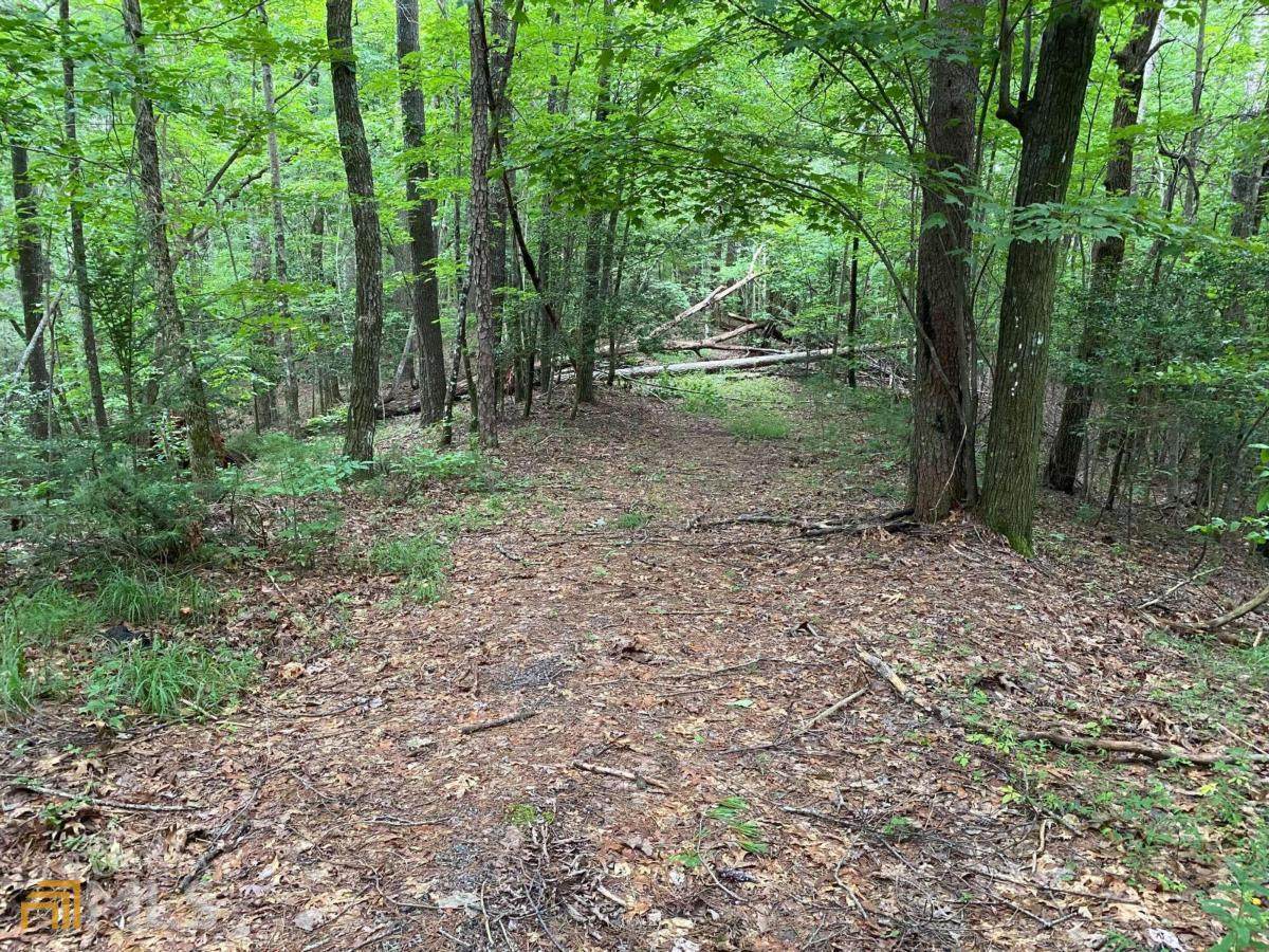 0 Harpers Creek Road - Photo 1