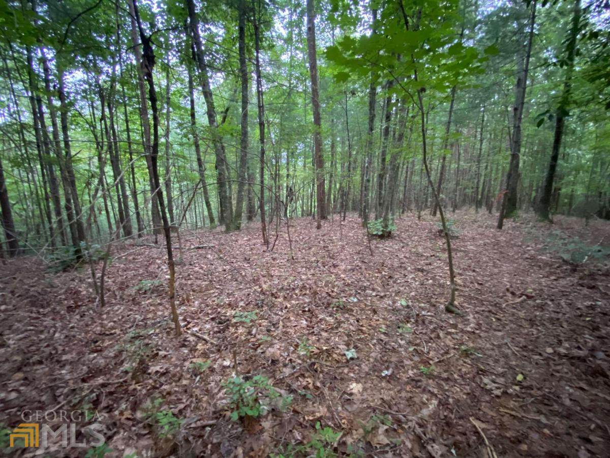 0 Harpers Creek Road - Photo 1