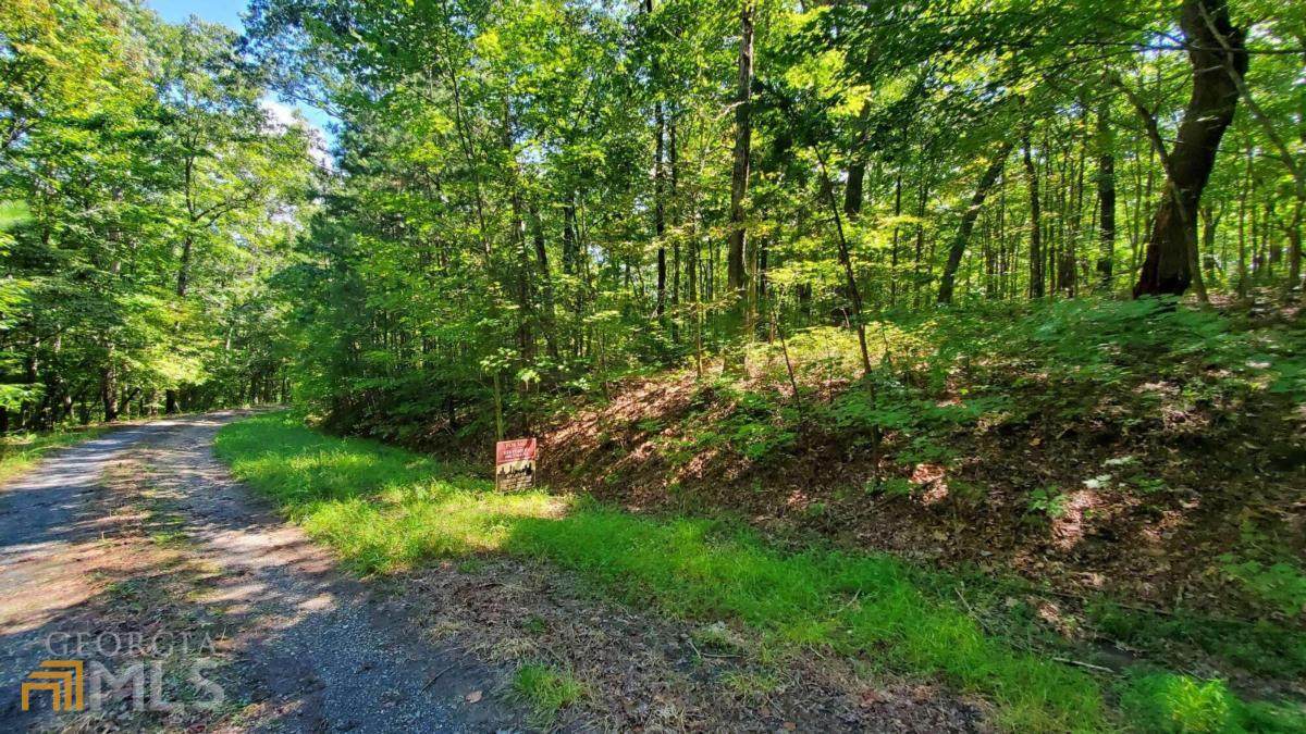0 Harris Branch/Quarter Lane Road - Photo 1