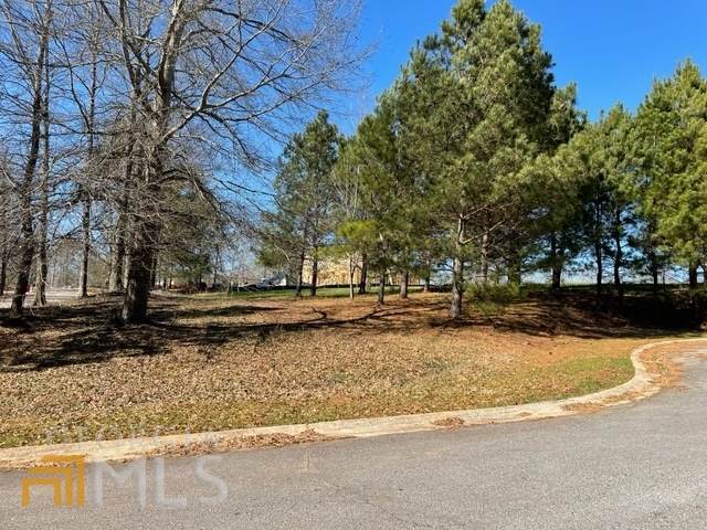 911 Zinnia Court - Photo 1