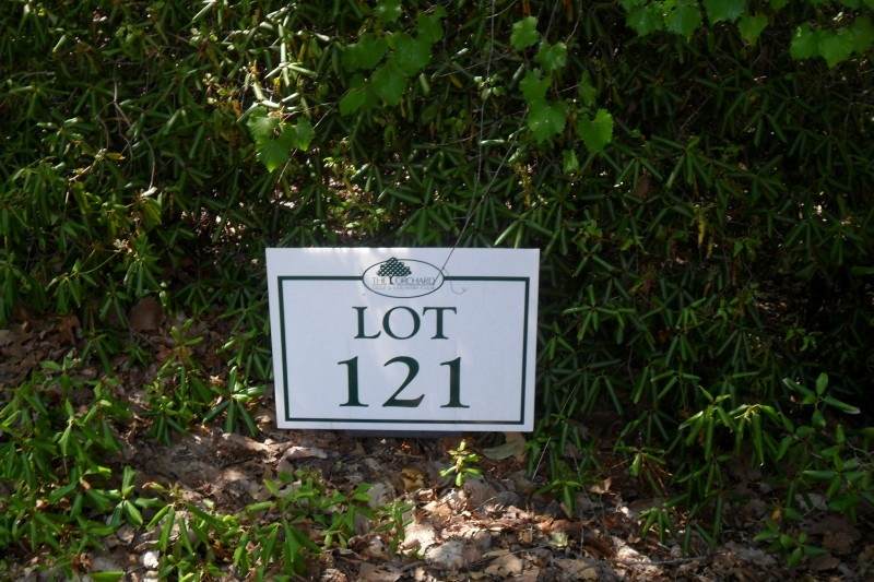 121 Summer Road - Photo 1