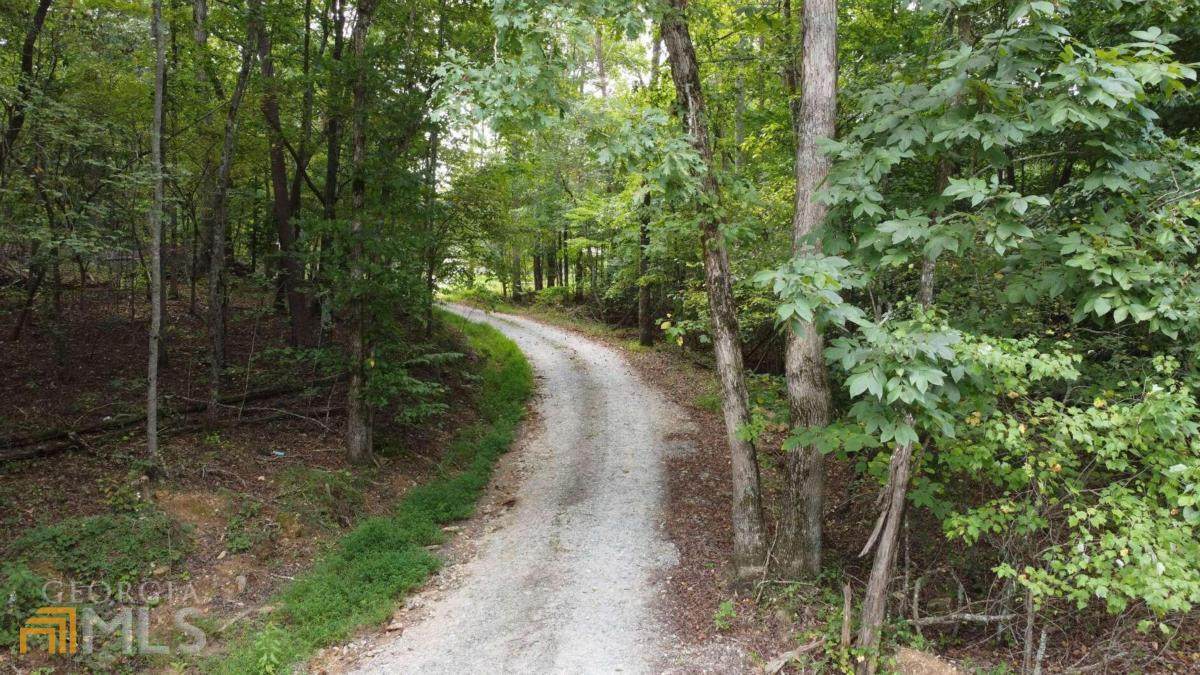 1525 Lumpkin County Parkway - Photo 1