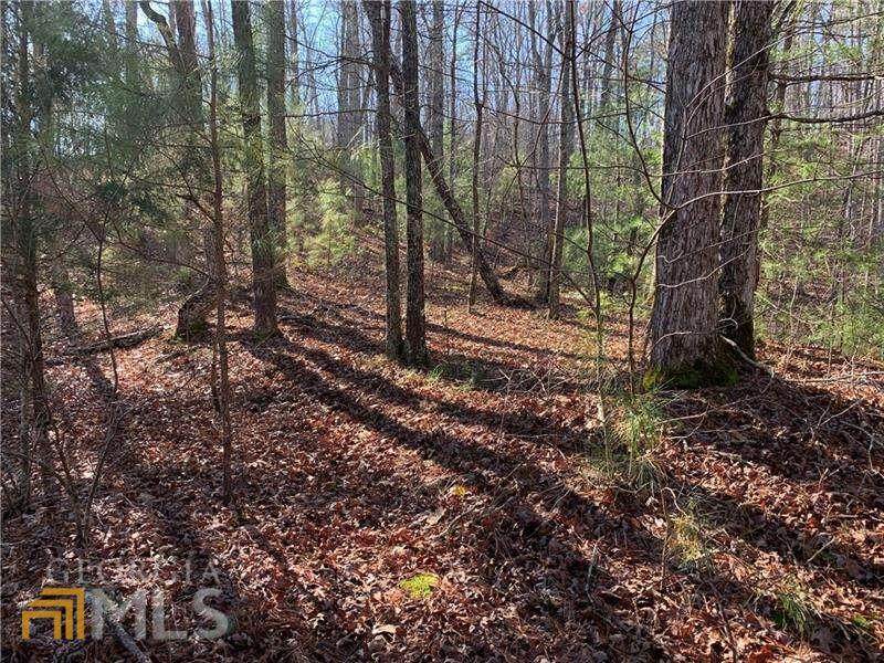 824 Monody Lane - Photo 1