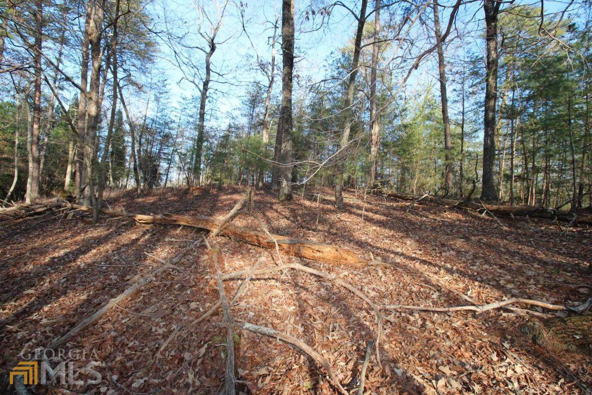 79 Mountain Trace Lane - Photo 1