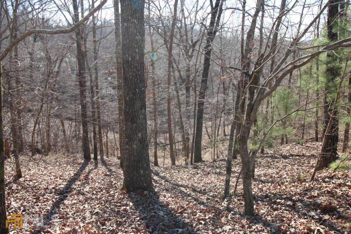 1042 Bruin Court - Photo 1