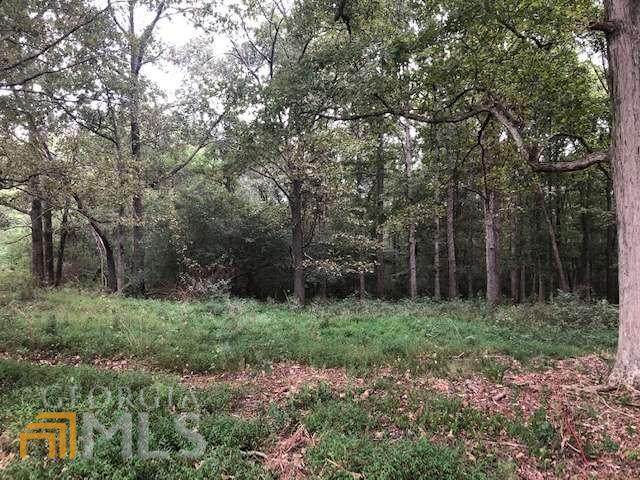 0 Neese Commerce Road - Photo 1