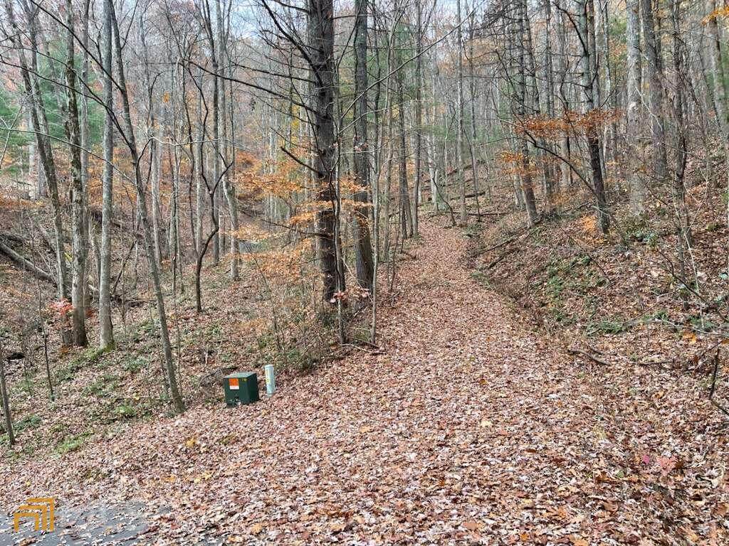 3 White Oak Forest Road - Photo 1