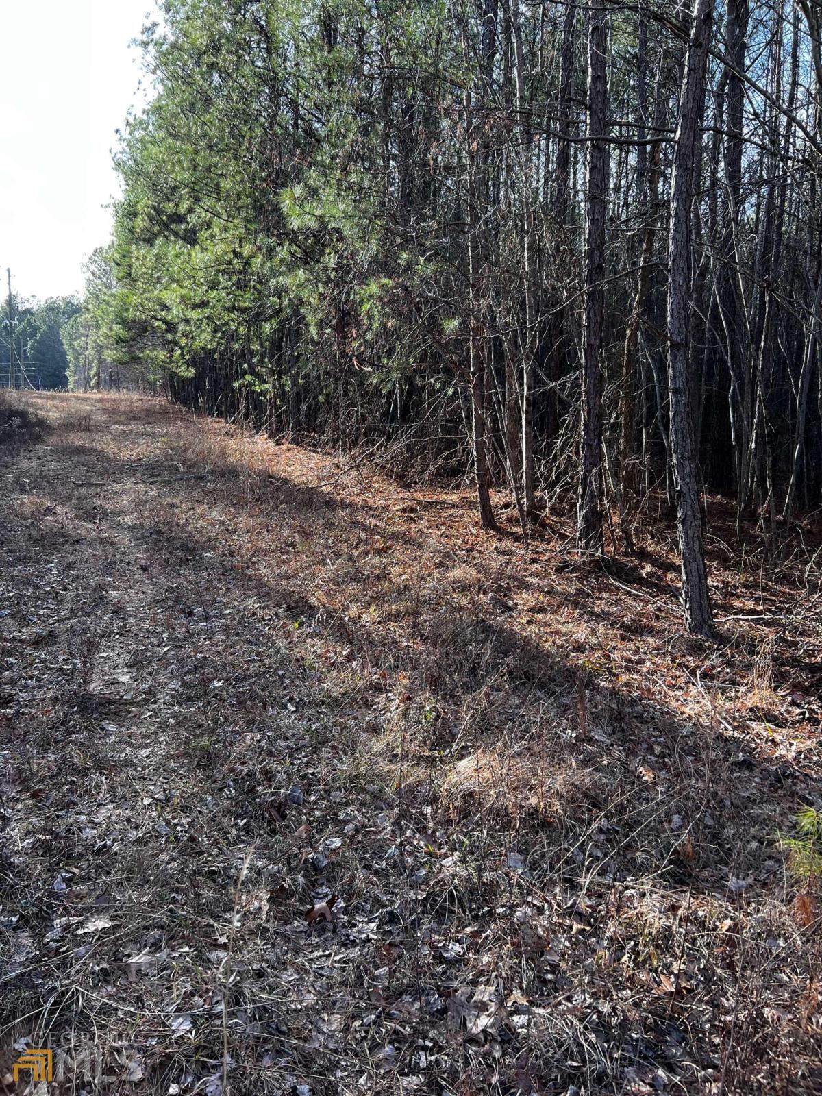 000 Ga Hwy 120 - Photo 1