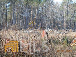 491 Mandeville Road - Photo 1