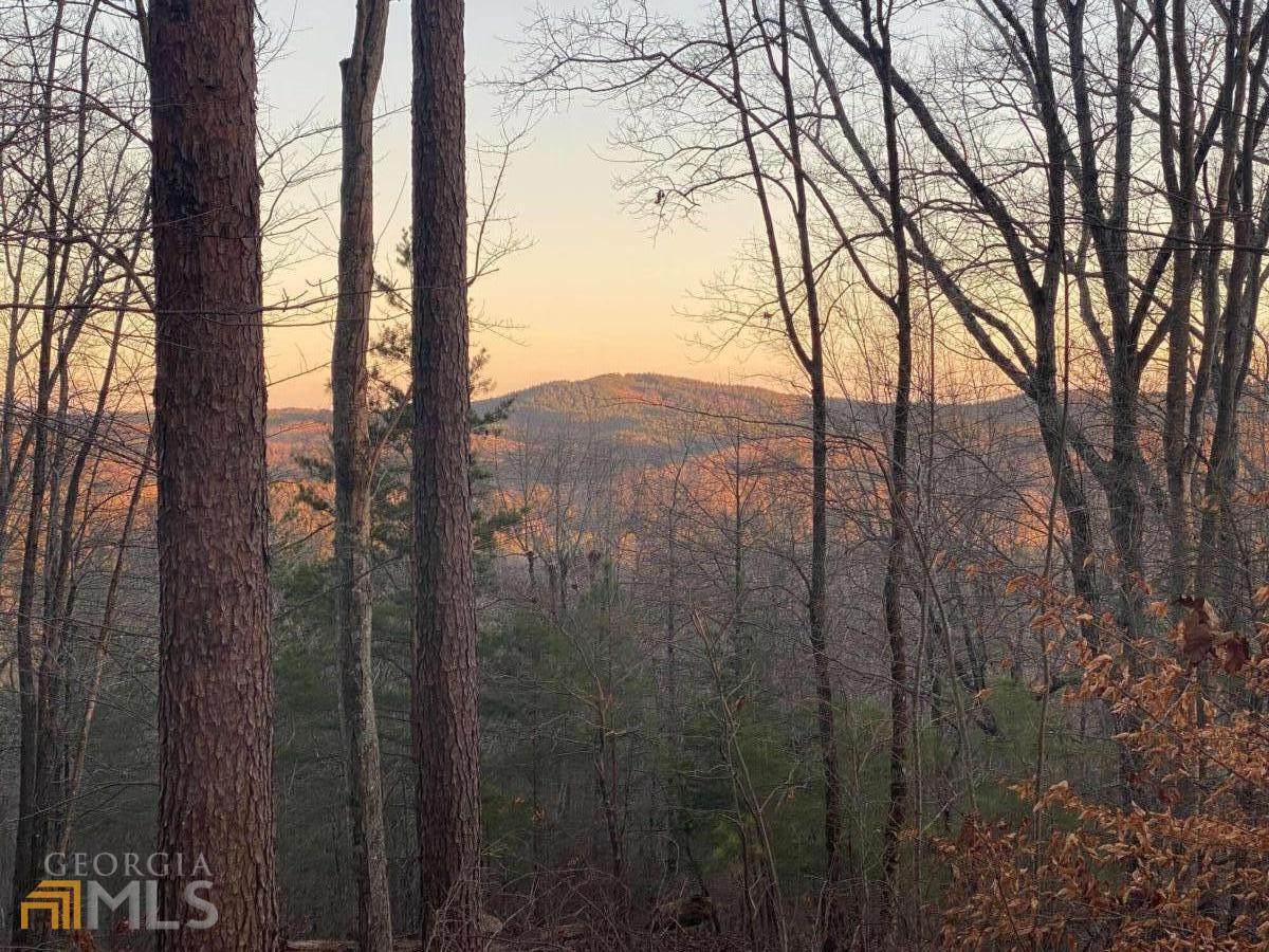 L180 Doll Mountain - Photo 1