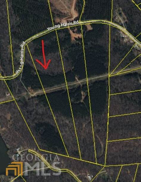TRACT 6 Young Harris Road - Photo 1