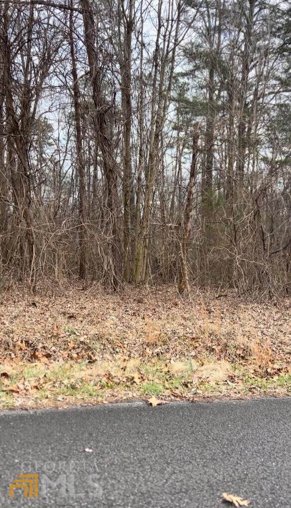 0 Bicentennial Trail - Photo 1