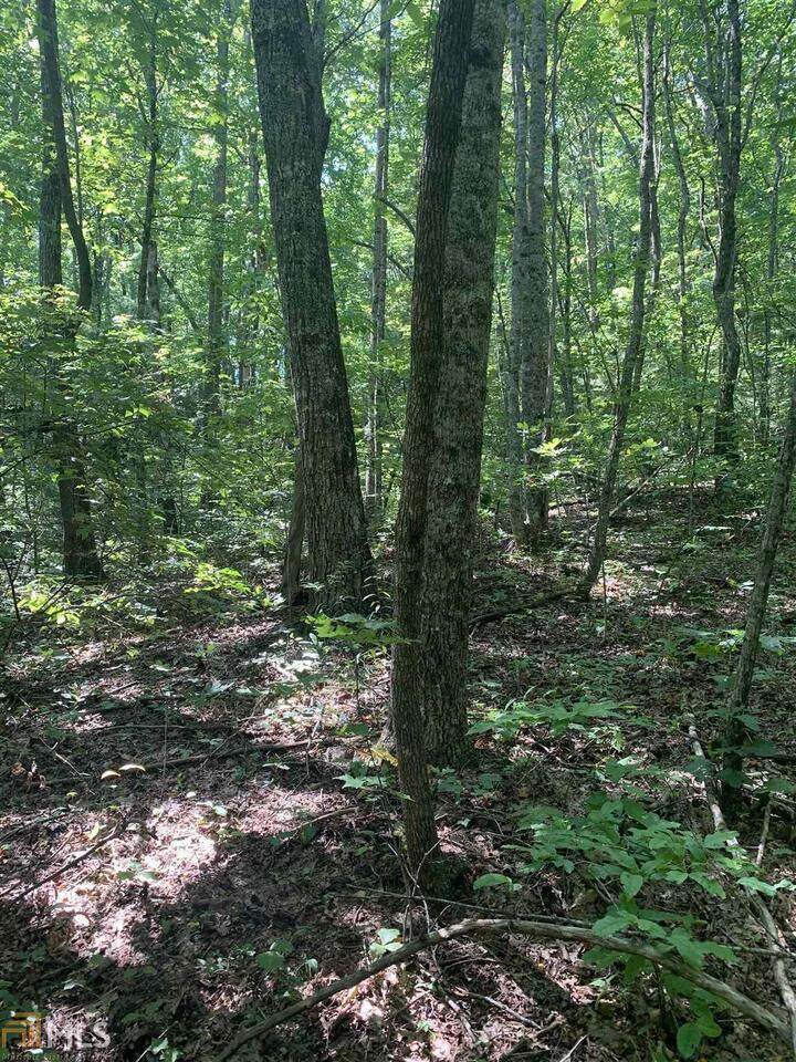 0 Woods Pt 3 - Photo 1