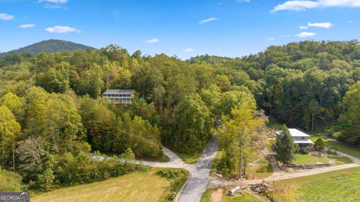 0 Laurel Springs Road - Photo 1