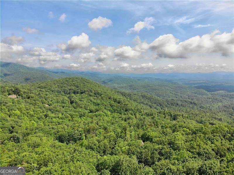 3023 Wild Turkey Bluff - Photo 1