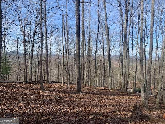 LOT7B Deer Creek Estates - Photo 1