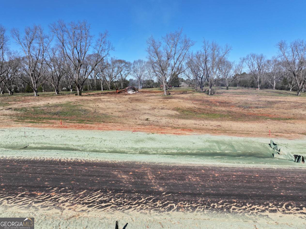 LOT 9 Chinaberry Street - Photo 1