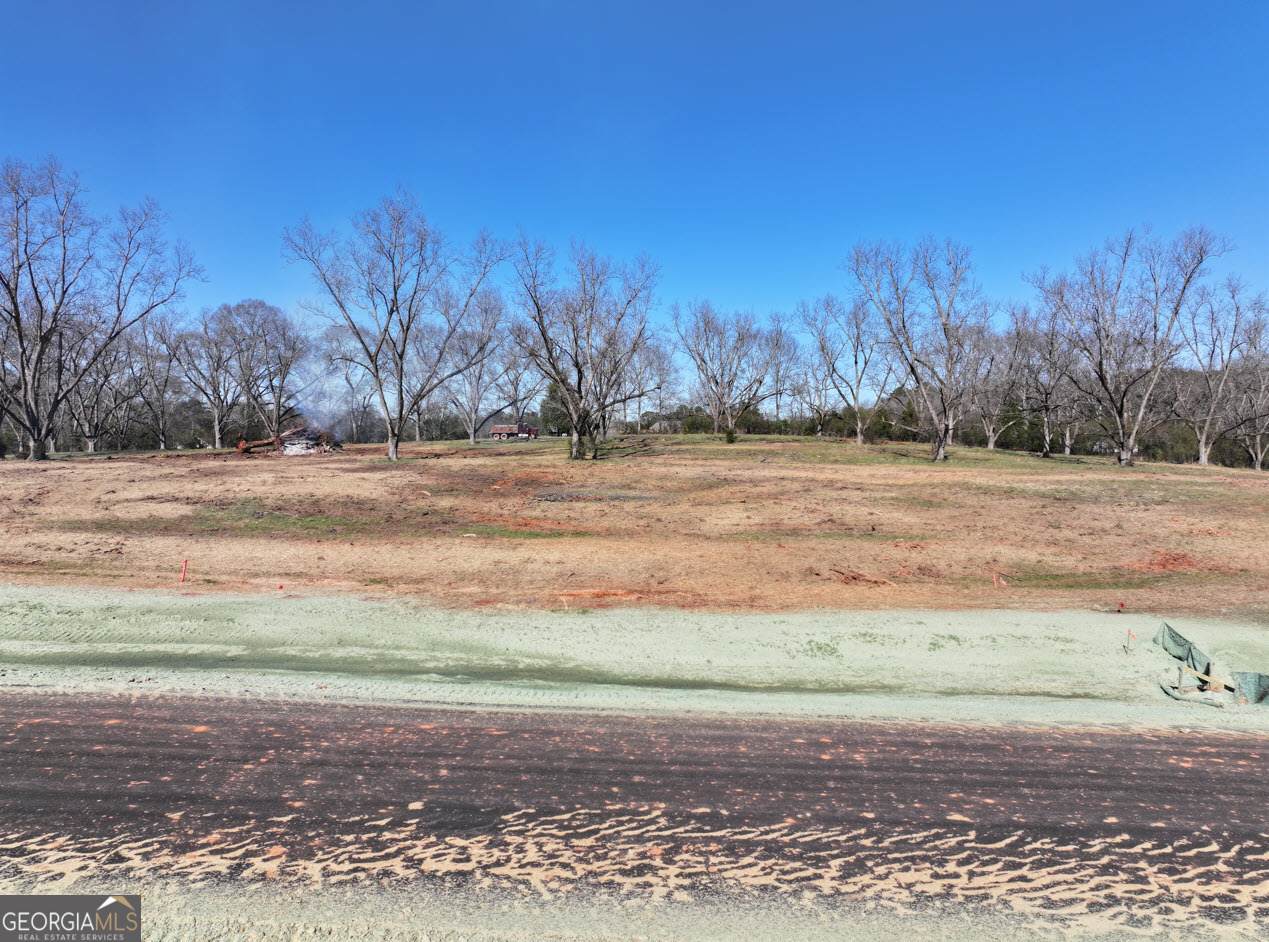 LOT 10 Chinaberry Street - Photo 1