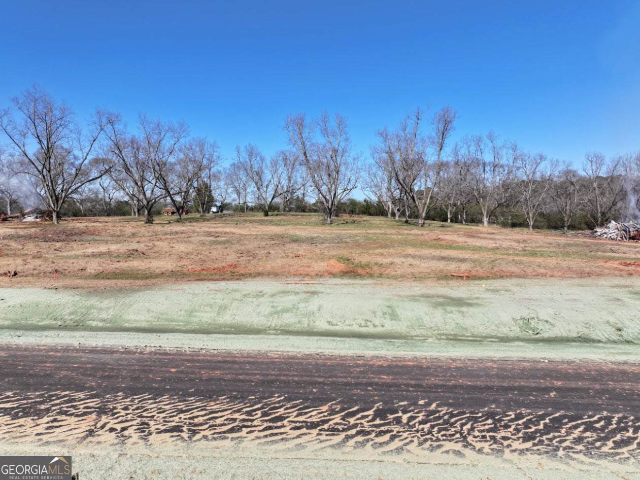 LOT 11 Chinaberry Street - Photo 1