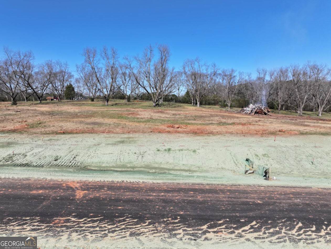 LOT 12 Chinaberry Street - Photo 1