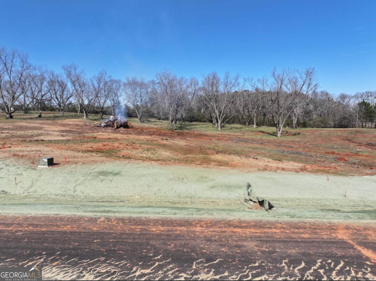 LOT 14 Chinaberry Street - Photo 1