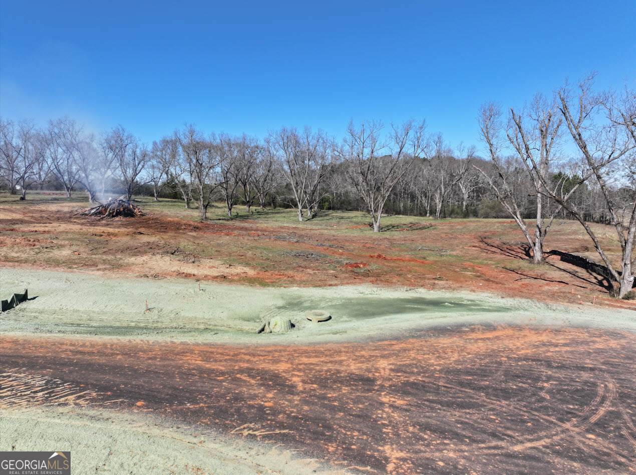 LOT 15 Chinaberry Street - Photo 1