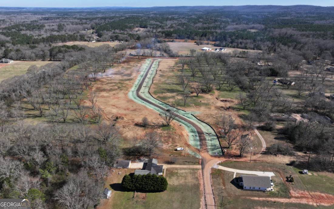 LOT 19 Chinaberry Street - Photo 1