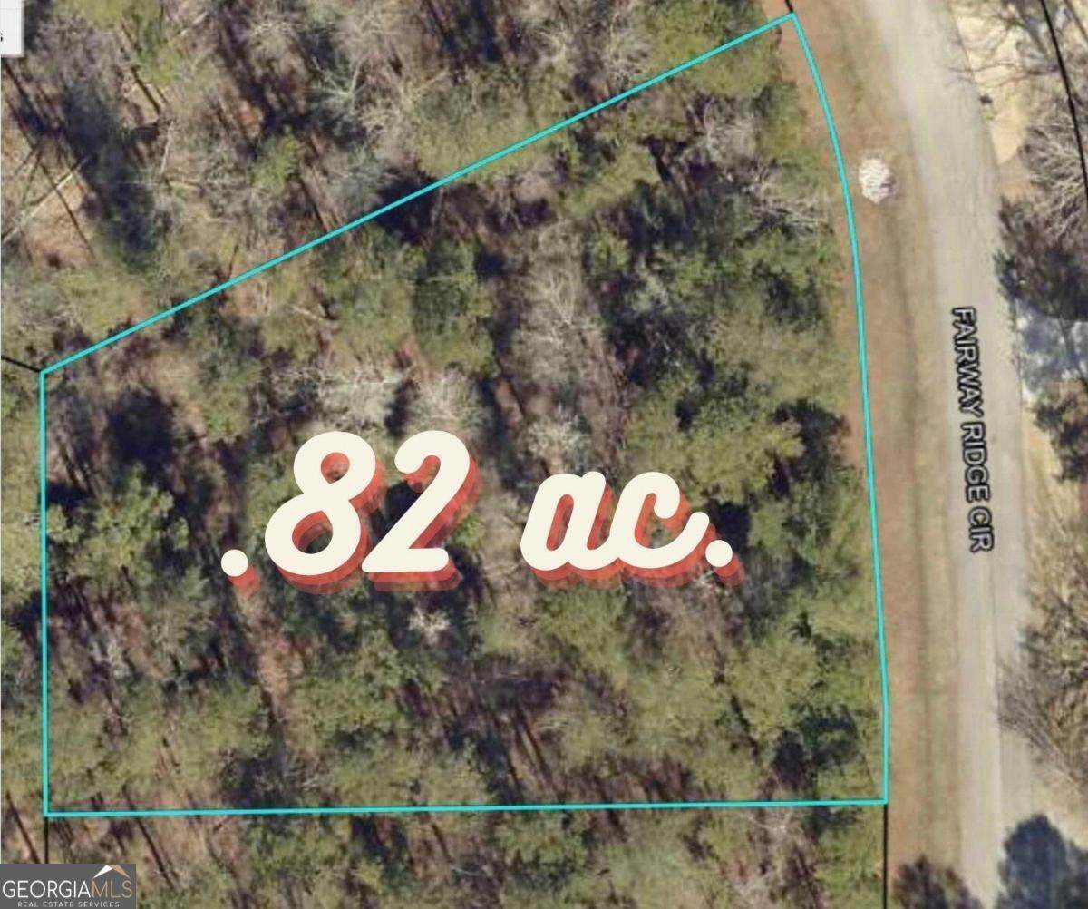 1041 Fairway Ridge Circle - Photo 1
