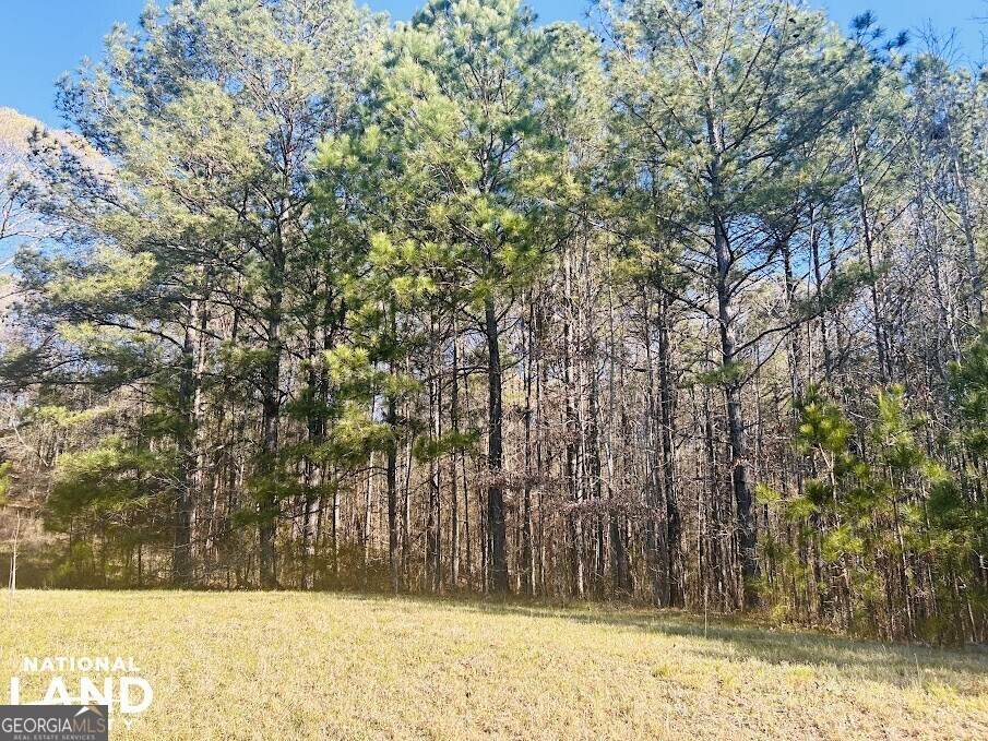0 Wagers Mill Road - Photo 1