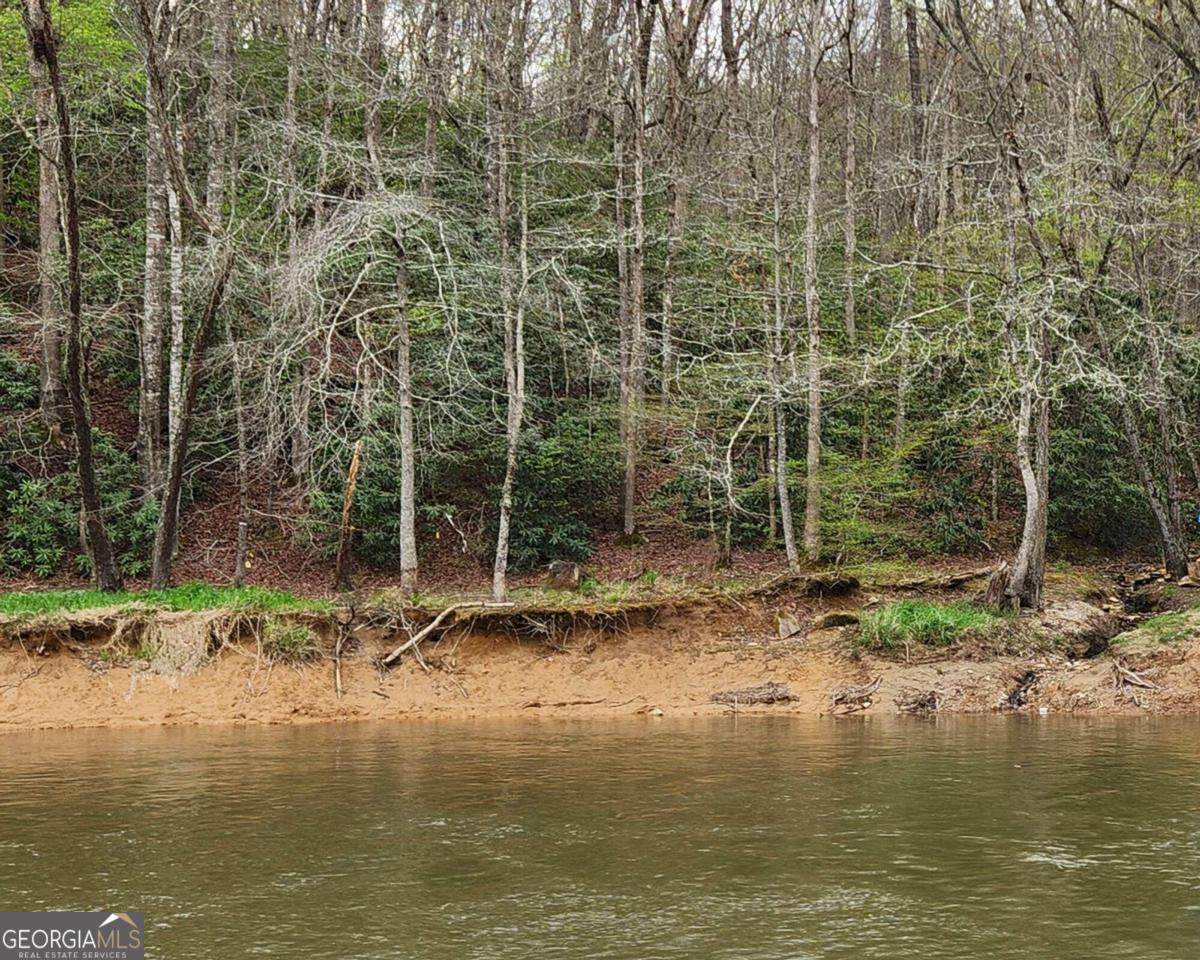 LOT 7 Lower River View Road - Photo 1