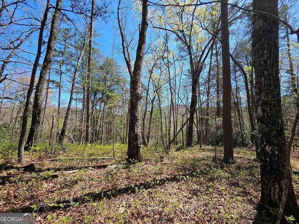 5.20 Deer Crest Road - Photo 1