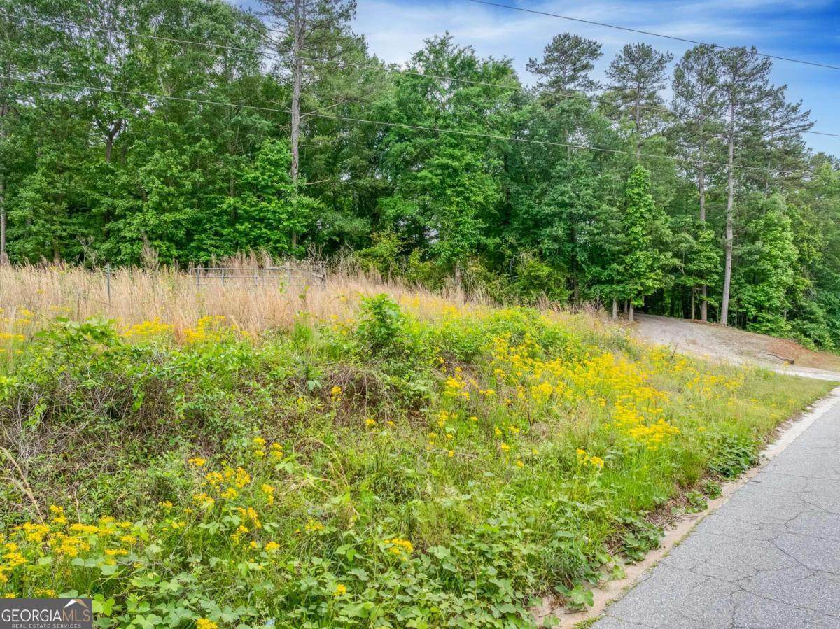0 Dogwood Trail - Photo 1