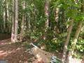 578 Bristle Cone Drive - Photo 1