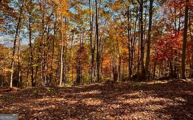 #113 Eagles View - Photo 1