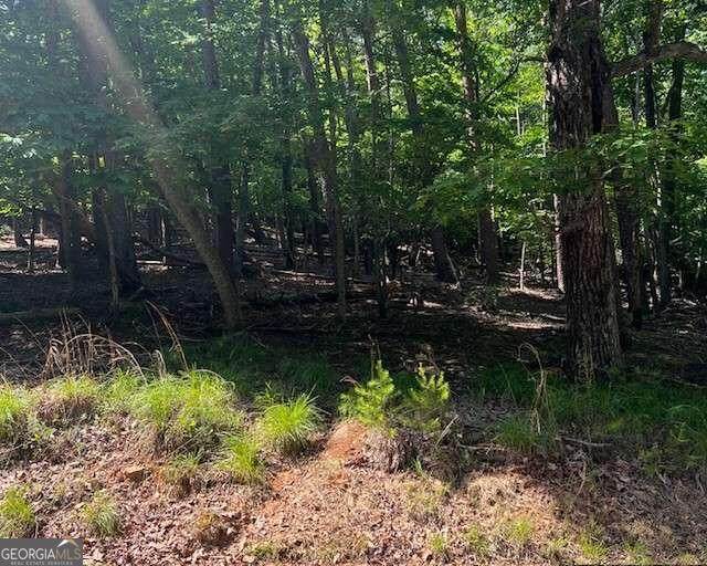 1121 Oglethorpe Mountain Road - Photo 1
