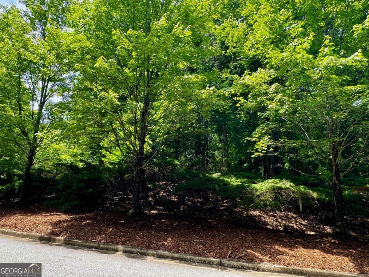 680 Mitchell Bridge Road - Photo 1
