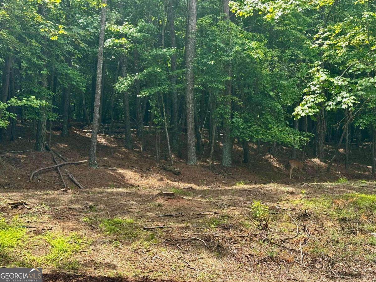 680 Mitchell Bridge Road - Photo 1