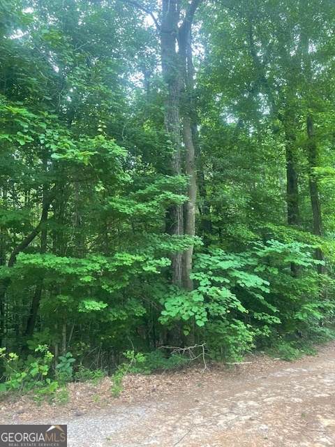0 Butner Roads - Photo 1