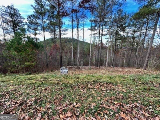 0 Ridge Peak View - Photo 1