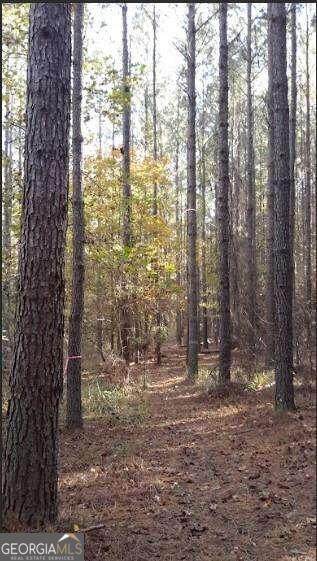 1047 Ponder Trammell Road - Photo 1