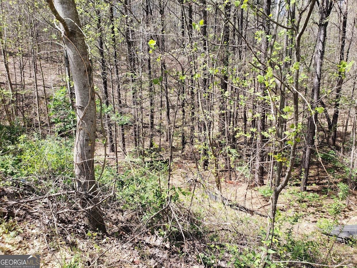 438 Fieldcrest Drive - Photo 1