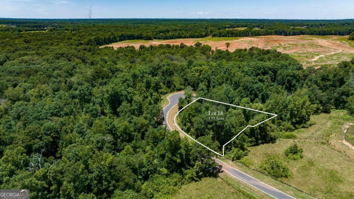 1710 Whistling Creek Crossing - Photo 1