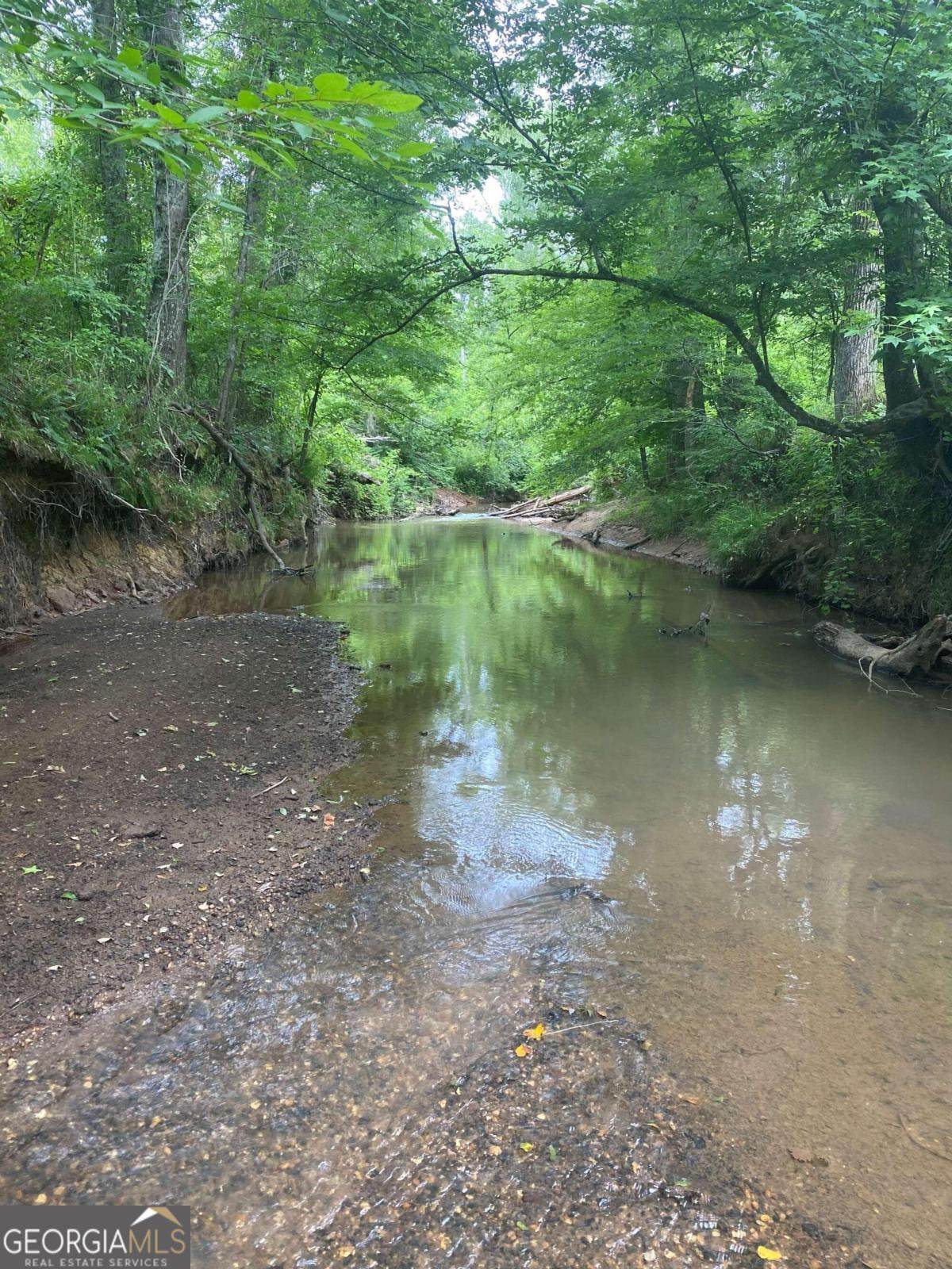 1835 Whistling Creek Crossing - Photo 1