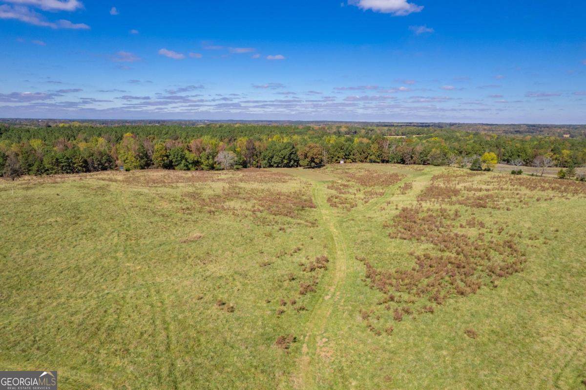 LOT 9 Wallace Road - Photo 1