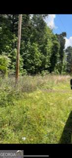 0 Lanier Drive - Photo 3