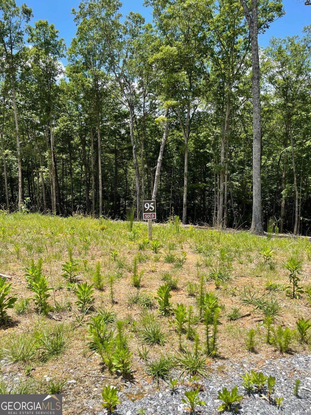 LOT 95 The Ridges - Photo 1